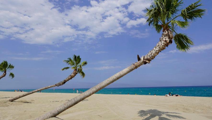 Appartement De Vacances - Splendide Vue Sur Mer, Parking Prive Le Barcarès Εξωτερικό φωτογραφία