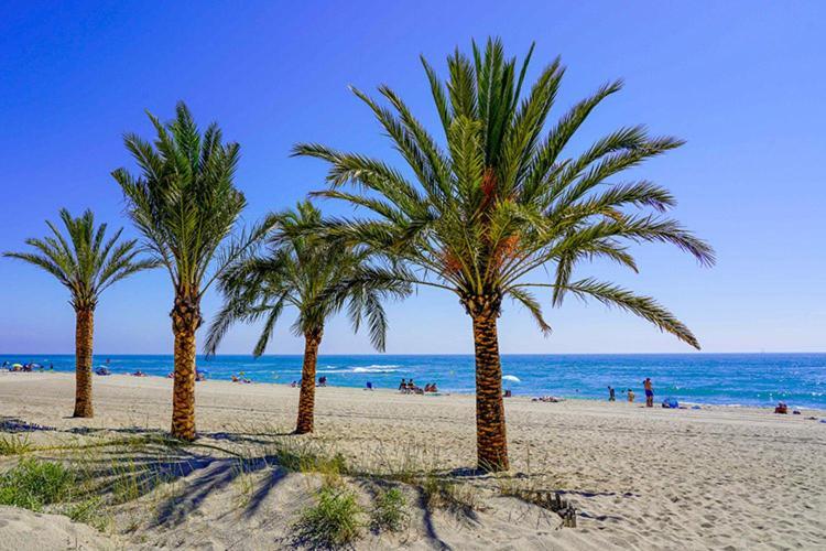 Appartement De Vacances - Splendide Vue Sur Mer, Parking Prive Le Barcarès Εξωτερικό φωτογραφία